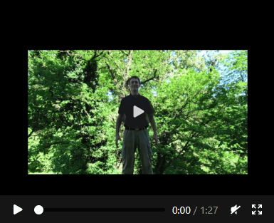Qigong-Video zum Bagua-Wirbelsäulentraining nach Tensegrity-Prinzipien von Christian Waltenberger