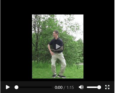 Qigong-Video mit Liushigong Leitbahnübungen zur Faszien-Aktivierung von Christian Waltenberger