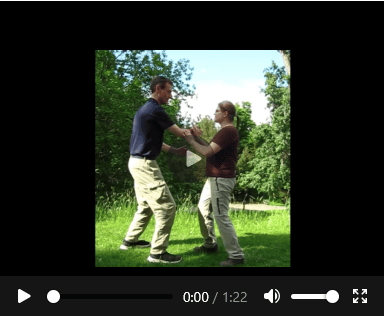Taiji-Video zur Push-Hands-Anwendung mit explosiver Fajin-Kraft und elastischer Struktur von Christian Waltenberger