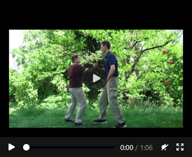 Taiji-Video für biomechanisches Gleichgewichtsbrechen im elastischen Spannungsnetzwerk mit Christian Waltenberger