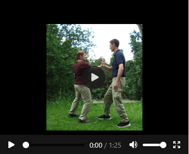 Taiji-Video zum sensitiven Partnertraining für elastische Faszienkraft und Kraftumlenkung mit Christian Waltenberger