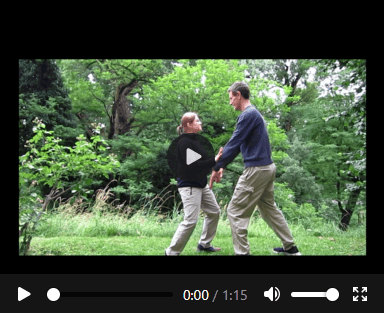 Taiji-Video im Yang-Stil zur Form-Integration und biomechanischen Balance mit Christian Waltenberger