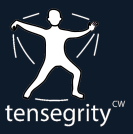 Body Tensegrity Logo