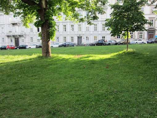 Trainingsplatz für Qigong und Taiji auf der Wiese hinter der Halle für Kunst in Graz